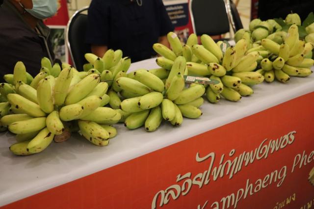 4. โครงการมหกรรม Skill Expo พลิกโฉมการพัฒนาคนสู่โลกยุคใหม่ วันที่ 21 สิงหาคม 2566 ณ ห้องประชุมราชพฤกษ์ ชั้น 3 หอประชุมทีปังกรรัศมีโชติ มหาวิทยาลัยราชภัฏกำแพงเพชร